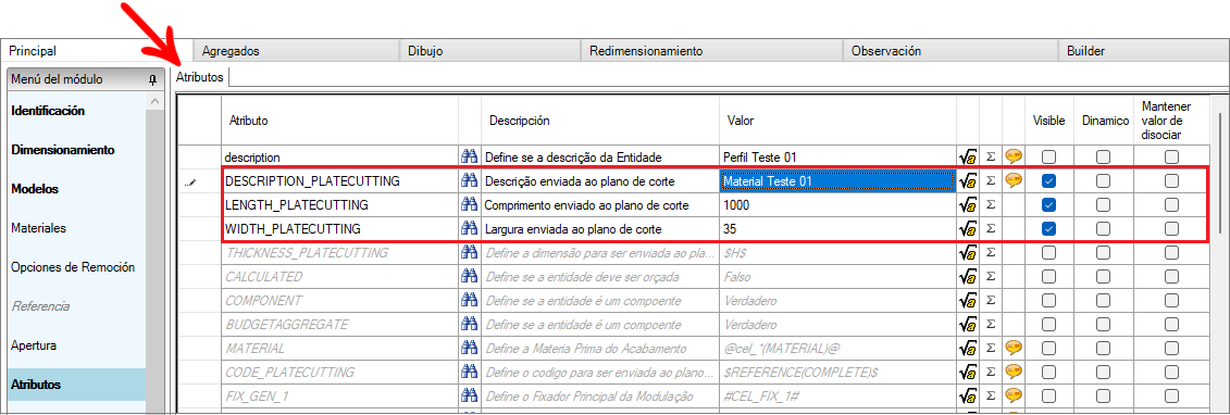 Setting_attributes_ES.png
