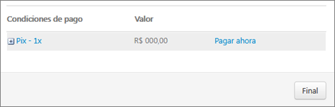 visualiza__o_pagamentos_pix_es.png