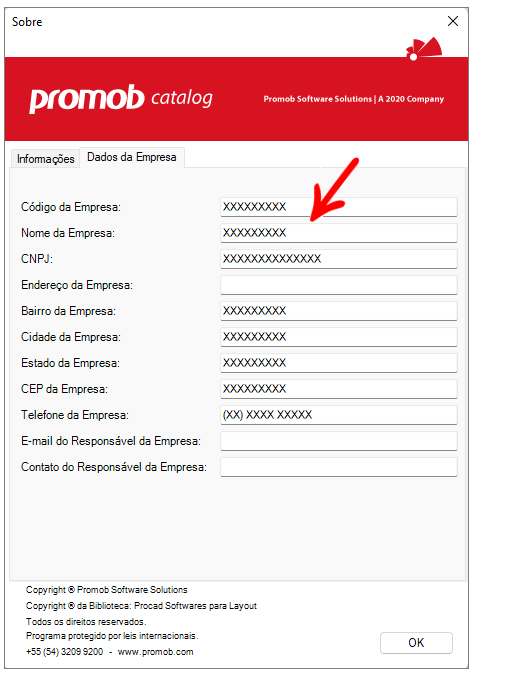 dados_da_empresa_X.png