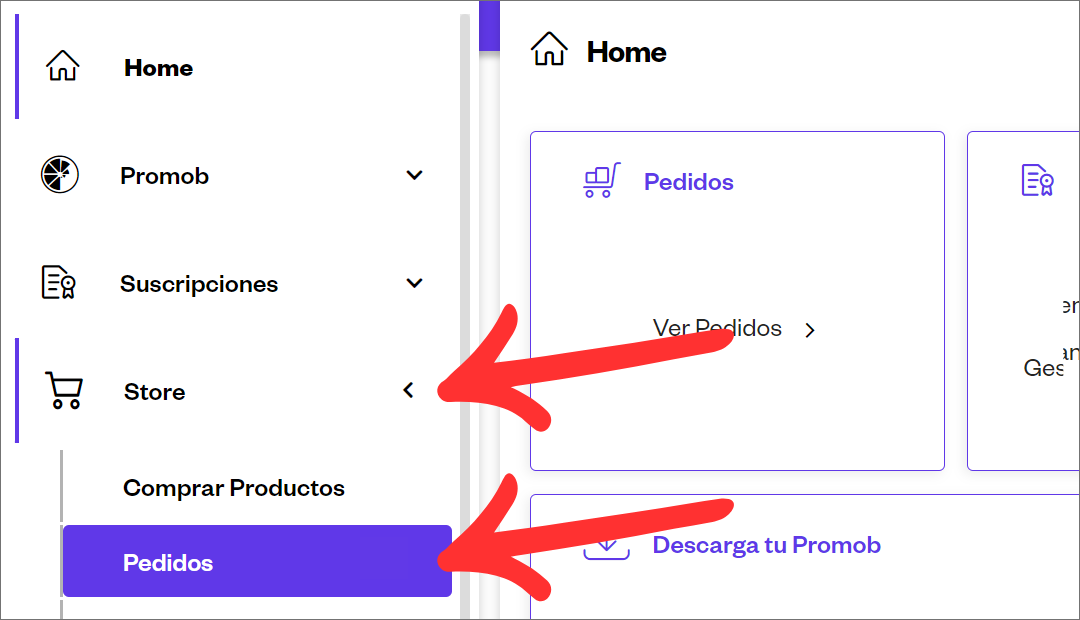 Consultar pedidos ESP_01.png
