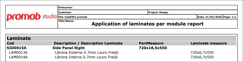_EN__Relat_rioLaminas_lateral.png