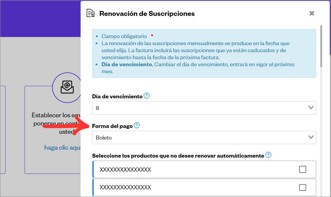 Informar Pagamento Espanhol 07_.png