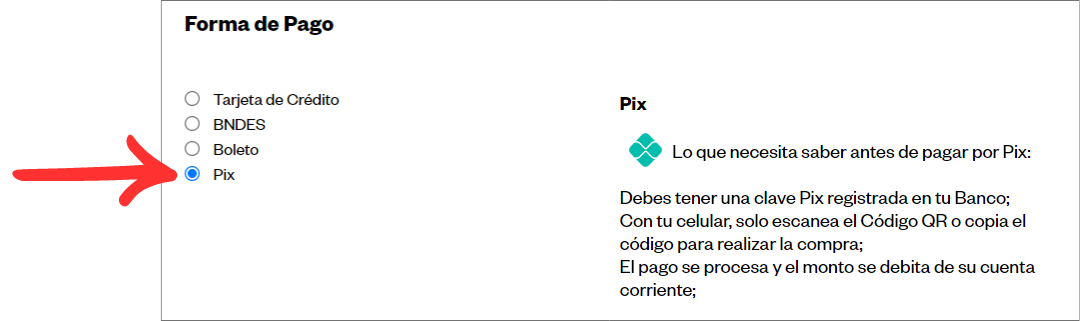 Informar Pagamento Espanhol 11_.png