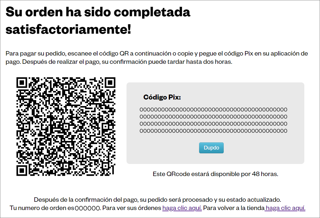 Informar Pagamento Espanhol 12_.png