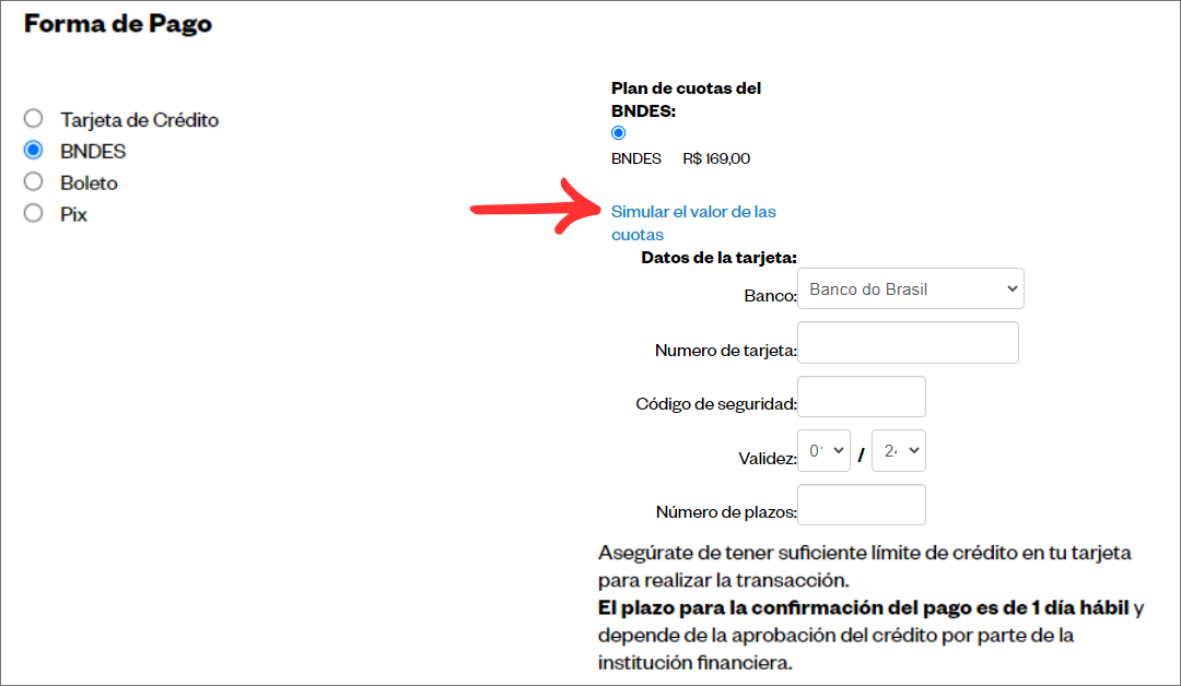 Informar Pagamento Espanhol 09_.png