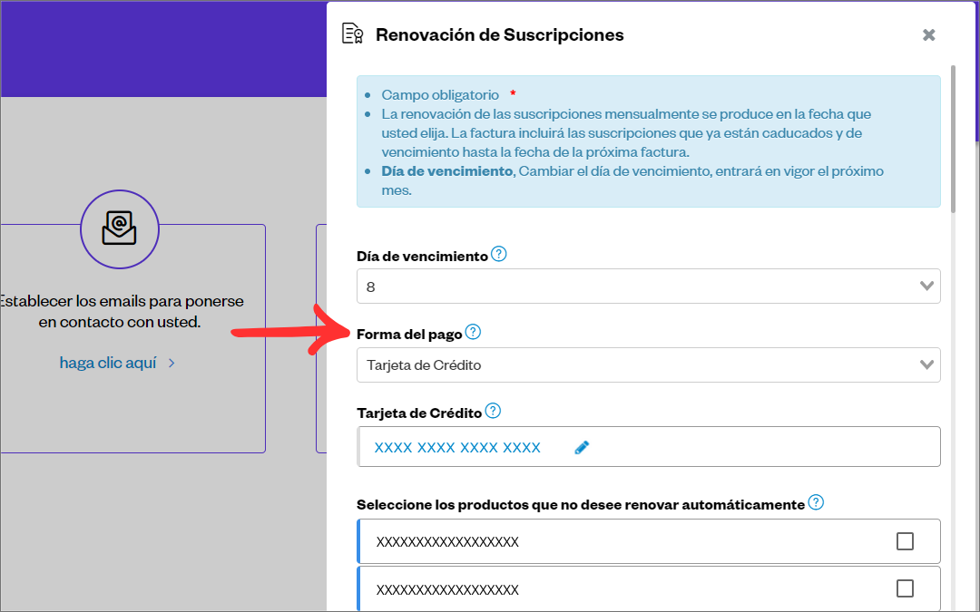 Informar Pagamento Espanhol 03_.png