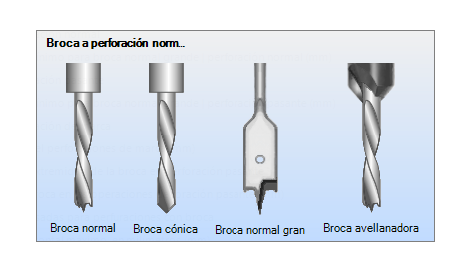 broca.png