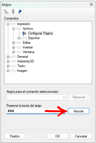 Sem título.png