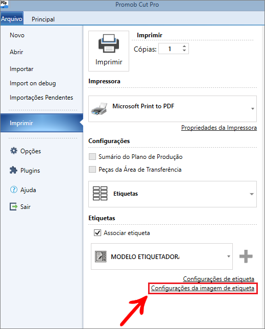 IMAGEM 7 - PT-BR.png
