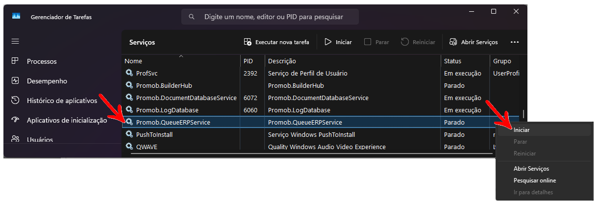 QueueERP_iniciar servico.png